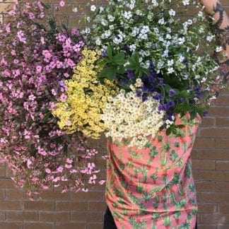 Bouquet de fleurs locales