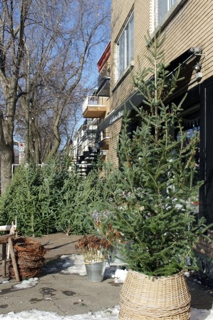 Sapin de Noël Fermier du Québec
