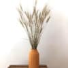 Bouquet d'Orge séché