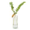 VASE BOUTEILLE JARDIN