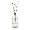 VASE BOUTEILLE JARDIN – Image 3