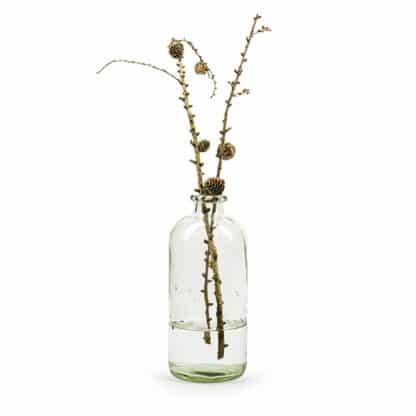 VASE BOUTEILLE JARDIN – Image 3