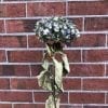 Hortensia séché