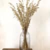 Bouquet d’avoine séché