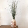 Bear grass séchée