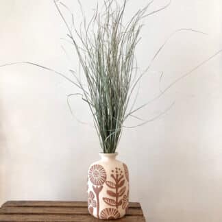 Bear grass séchée