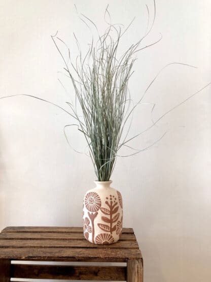 Bear grass séchée