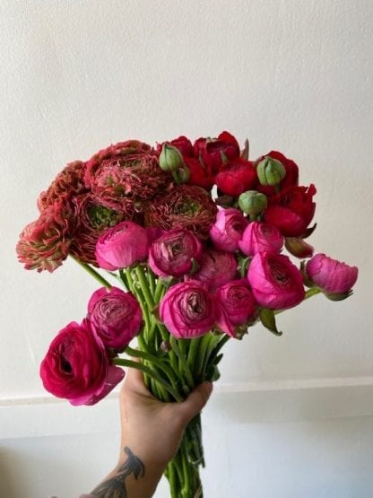 Bouquet de Renoncules – Image 4