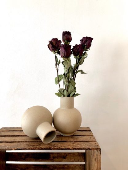 Roses presque noires