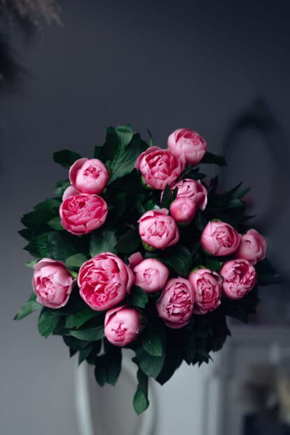 Bouquet de Pivoine Etched salmon – Image 2