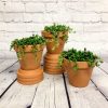 Senecio teardrops - string of beads