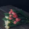Tulipes