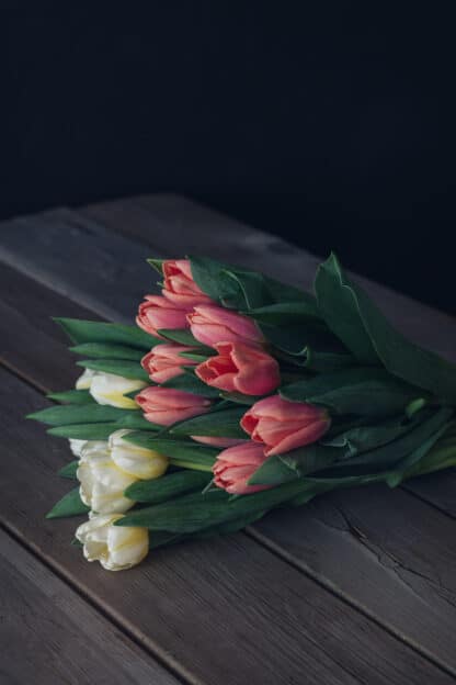 Tulipes
