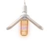 Grande ampoule LED photosynthèse
