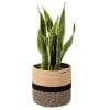 Cache-pot coton de Mathilde 11"