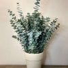 Pot terre cuite blanche Roccia