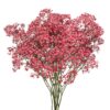 Gypsophile séché – Image 3