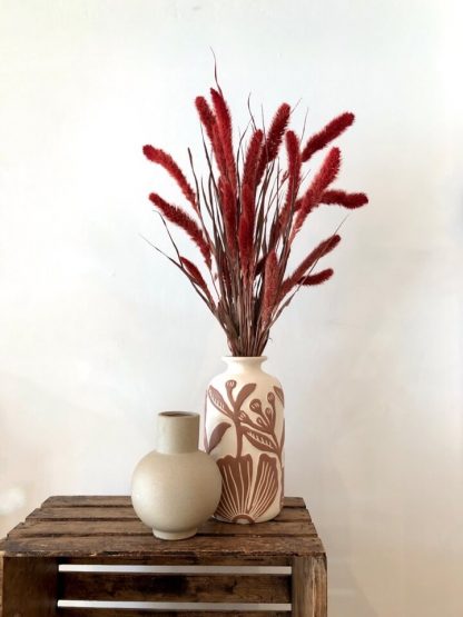 Setaria Rouge