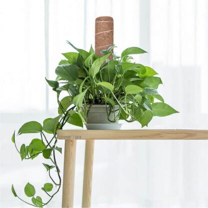 Tuteur Mousse Totem – Image 2