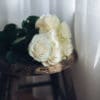 Bouquet de roses blanches