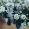 Lisianthus et eucalyptus – Image 2