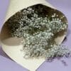 Gypsophile à la botte – Image 2