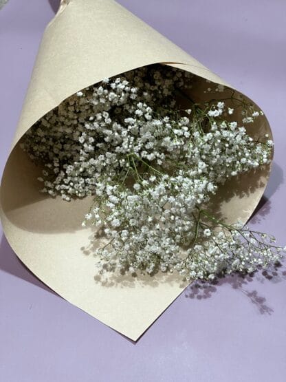 Gypsophile à la botte – Image 2