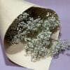Gypsophile à la botte