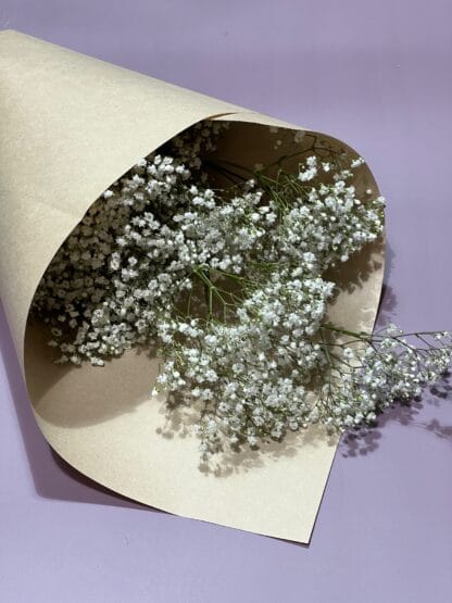 Gypsophile à la botte