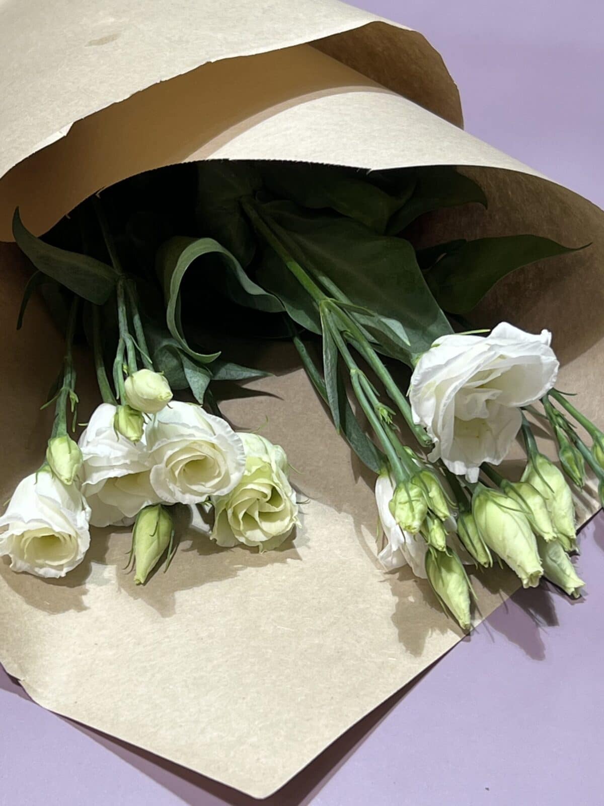 Lisianthus à la botte