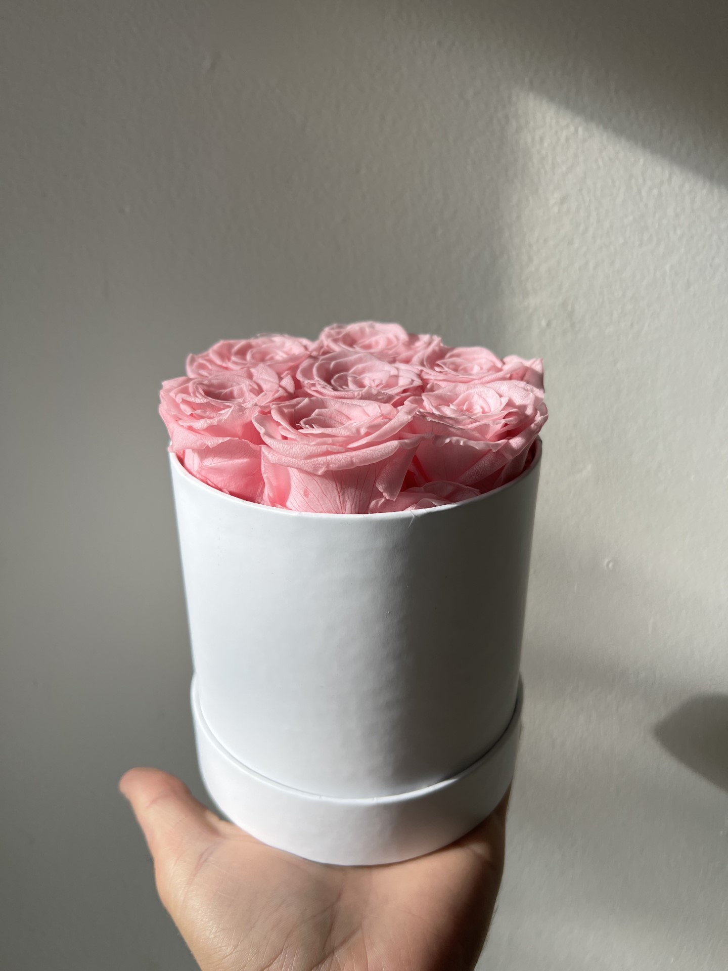 Roses éternelles Préservées – Lot De 12 Fleurs | 3,5 Cm | Pour Décorations Mariage, Artisanat, Cadeaux Romantiques