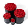 Boîte de roses préservées éternelles – Image 5