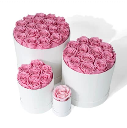 Boîte de roses préservées éternelles