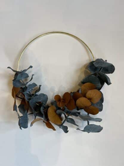 Cerceau Eucalyptus préservé