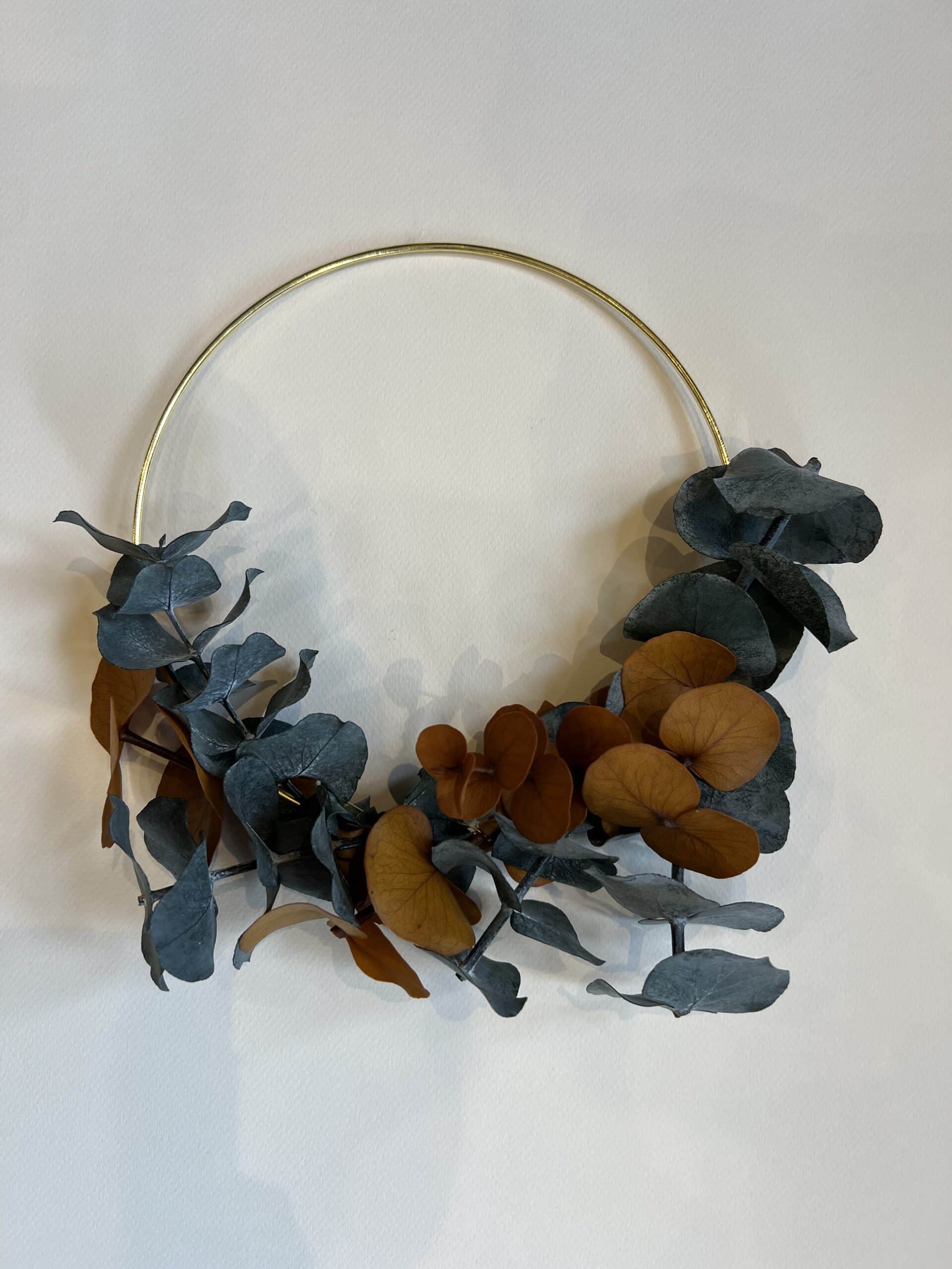 Cerceau Eucalyptus préservé